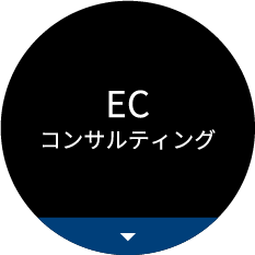 ECコンサルティング